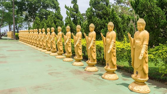 Foz do Iguaçu guided tour