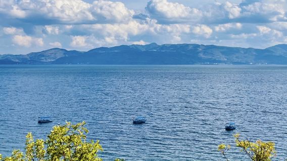 昆明出發：撫仙湖一日遊【打卡粉紅沙灘+搭船遊湖】