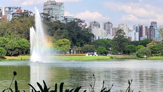 Доступна однодневный тур в собор Святого Павла, к Обелиску и парку Ибирапуэра; возможны корректировки маршрута.