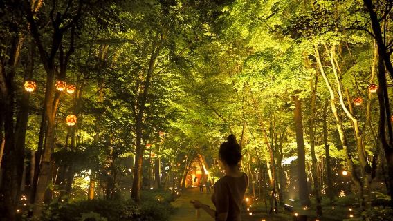 日本東京+輕井澤高原教會一日遊/行程可調-可定制多日