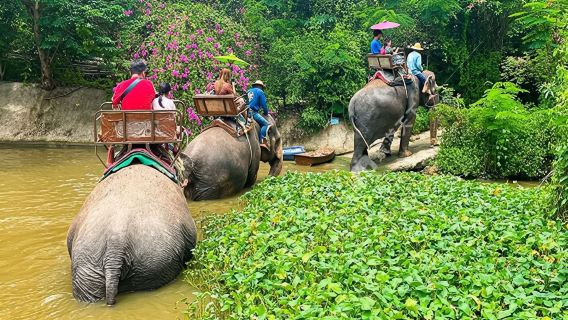 ขี่ช้างที่หมู่บ้านช้างพัทยา