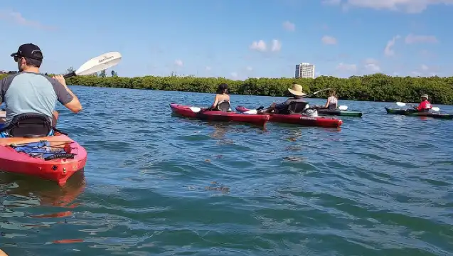 Sarasota Guided Mangrove Tunnel Kayak Tour