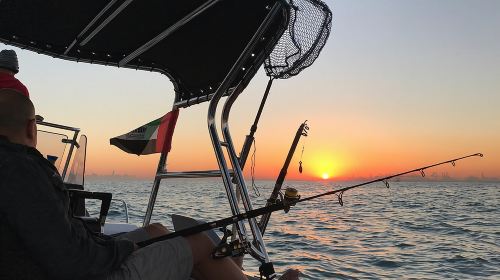 Fishing sea escape 4h Day Tours 7