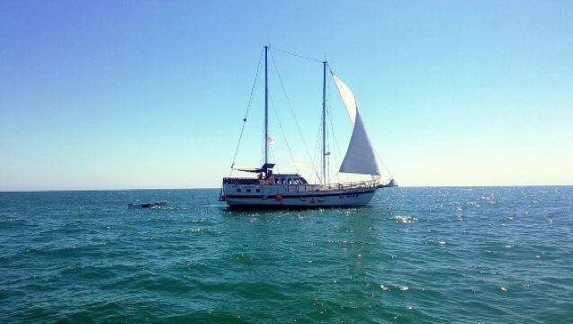 Piknik Yacht Laut Hitam yang Hebat dengan Makanan & Minuman