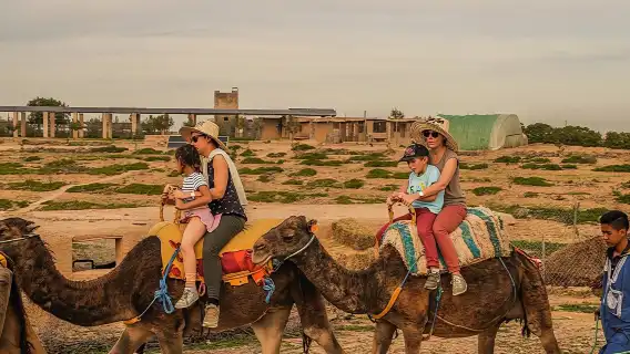 Marrakech: Agafay Desert Quad Biking & Camel Trek & Dinner & Show