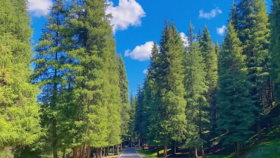 Nanshan Ranch + The Xinjiang Museum + Urumqi Botanical Garden 1-day tour