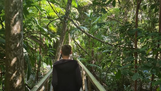 Gold Coast Departure : Explore Tamborine Mountain Day Tour