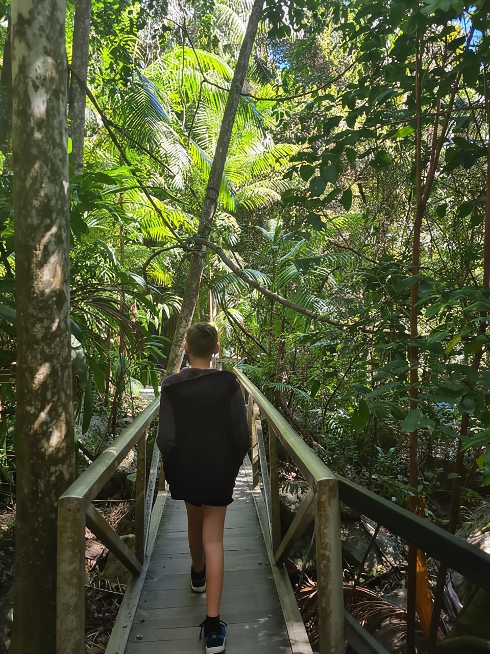 Brisbane Departure : Explore Tamborine Mountain Day Tour