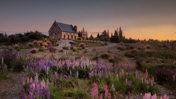 Tur perjalanan satu hari Kelompok Kecil Christchurch, Gunung Cook, dan Tekapo Berangkat dari Christchurch dan Berakhir di Queenstown