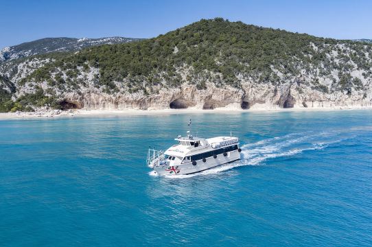 多爾加利：前往美麗的卡拉露娜海灘遊船之旅