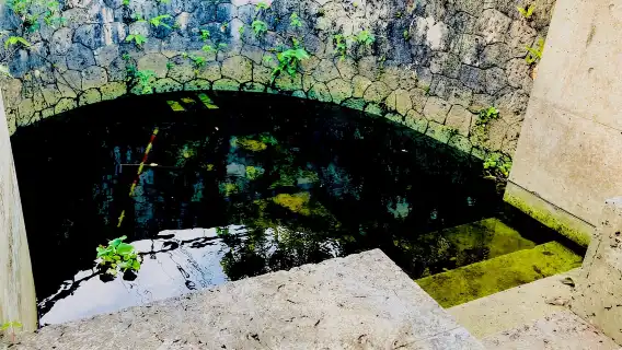 首裡+那霸：騎行之旅，騎電動自行車探索水文化遺產