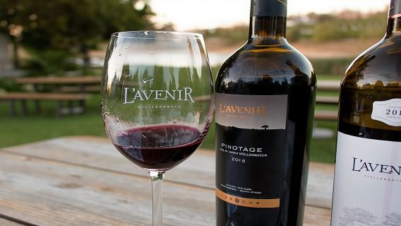 Excursión de un día completo a la Montaña de la Mesa y cata de vinos de Constantia