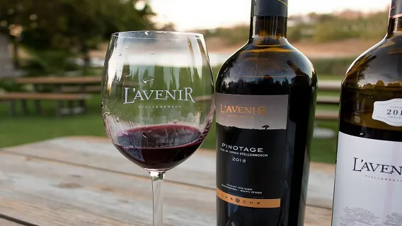 Excursión privada de día completo con cata de vinos de El Cabo, galardonada con el premio más alto