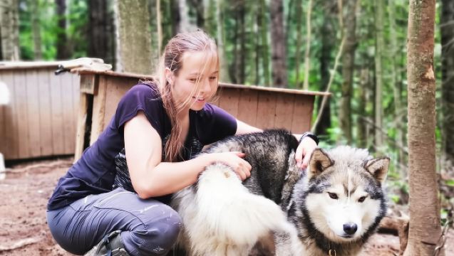 15 min. Tadoussac : Behind-the-Scenes Sled Dog Kennel Tour