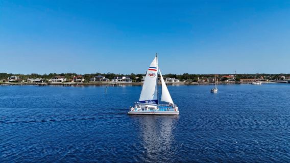 St. Augustine: Dolphin Watching Harbor Tour with Drinks