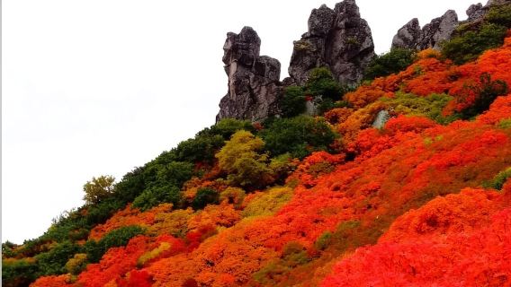 日本小樽運河+朝裏川温泉【中文司機/可訂多日】