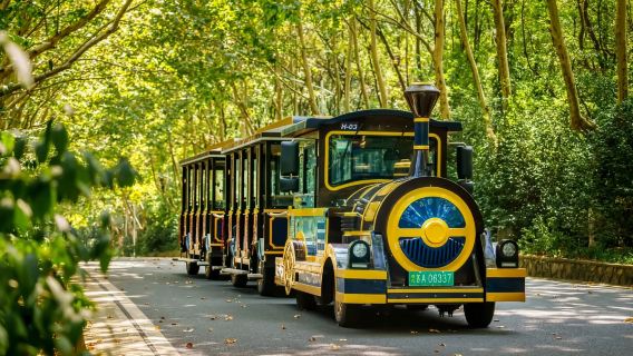 江蘇南京英語/漢語翻譯 （商務翻譯|徒步|旅遊|普通翻譯，中文—漢語/英語，現場翻譯，陪同講解）