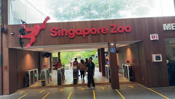 สิงคโปร์ สัมผัสธรรมชาติใกล้ชิด เยี่ยมชมสวนสัตว์และริเวอร์ วันเดอร์ส