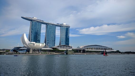 Private Half Day Singapore City Tour with Botanical Orchid Garden