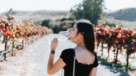 Superoferta en San Francisco: Muir Woods y la región vinícola con almuerzo gourmet opcional