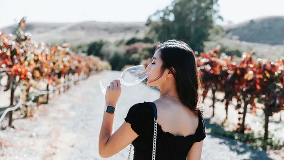 San Francisco Super Saver: Muir Woods e Wine Country con pranzo gourmet facoltativo