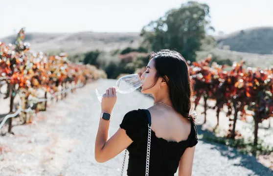 三藩市超級優惠：繆爾森林及酒鄉之旅（可選豪華午餐）