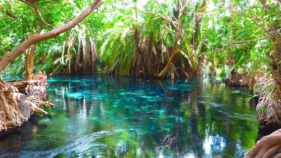 Excursion aux sources thermales de Chemka au départ de Moshi