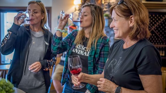 Tagesausflug nach Woodinville (Wein) und zu den Snoqualmie Falls