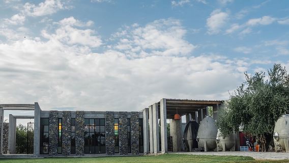 Trapiche e Pranzo The Enemy (Michelin) + Trasporto privato