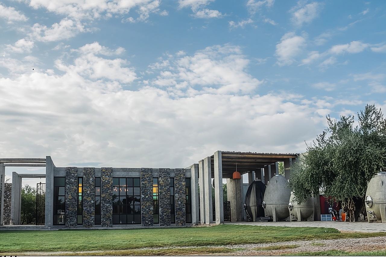 Trapiche and Lunch The Enemy (Michelin) + Private transportation