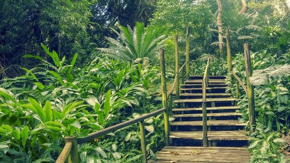 Best of Nadi Highlights