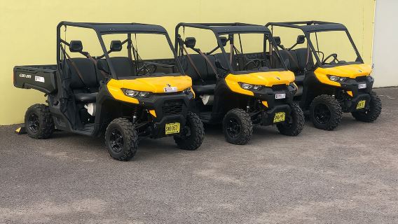 4-stündige Buggy-Tour durch New Providence (inklusive Wasser und lokaler Wüsten)