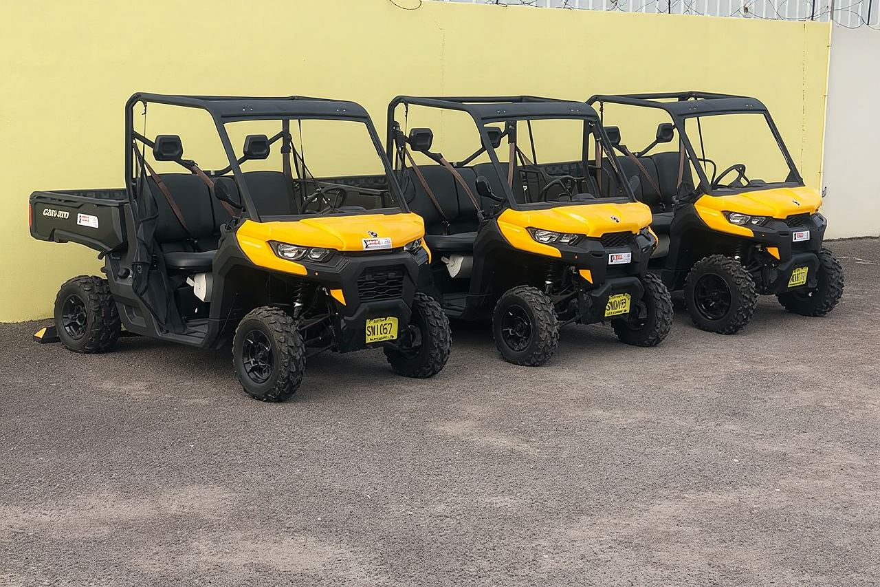 Tour di 4 ore in buggy a New Providence (inclusi acqua e deserti locali)