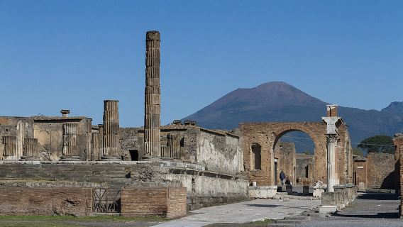 Pompeii and Vesuvius: Day Trip from Naples with Lunch