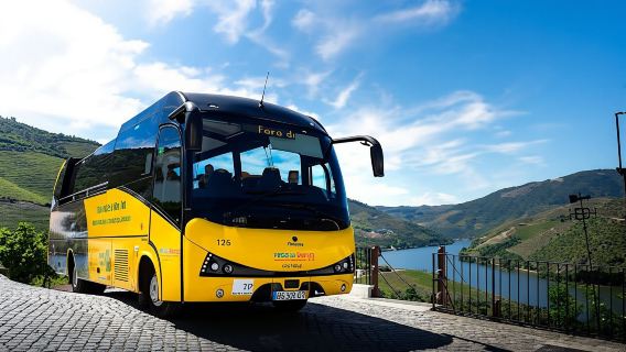 Vineyard with Wine Tasting, River Cruise and Lunch in the Douro Valley
