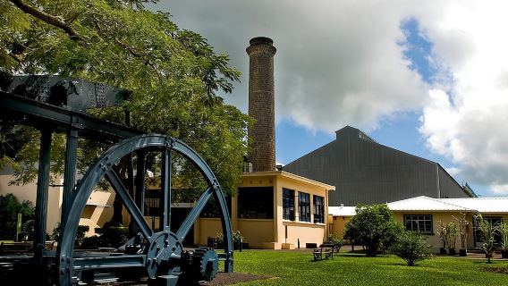 Entdeckung der Zuckerwelt nördlich von Mauritius