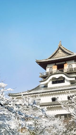 日本名古屋馬籠宿+犬山城+虎溪山永保寺+妻籠宿一日遊