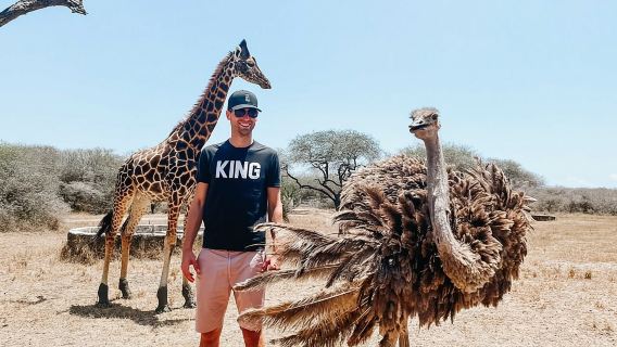 Paseo por la naturaleza con jirafas en Mombasa