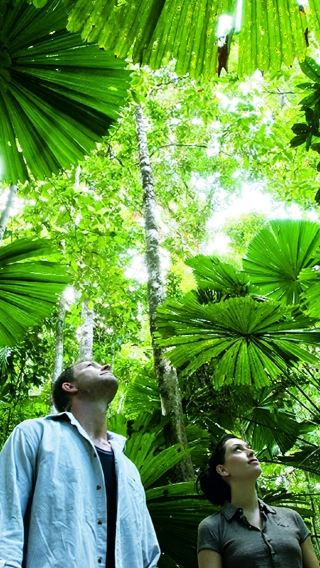 Cairns Daintree Rainforest + Mossman Gorge Cultural Centre + Cape Tribulation 1-day tour [In-depth tour | Lunch included]