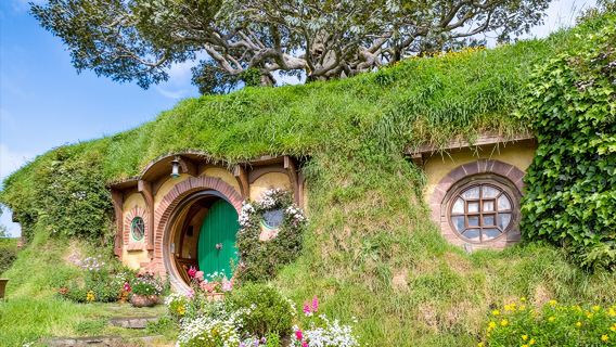 ニュージーランド・オークランド発 ワイトモ・グローム・ケイブス+ホビット村映画セット ワンデーツアー【英語サービス】