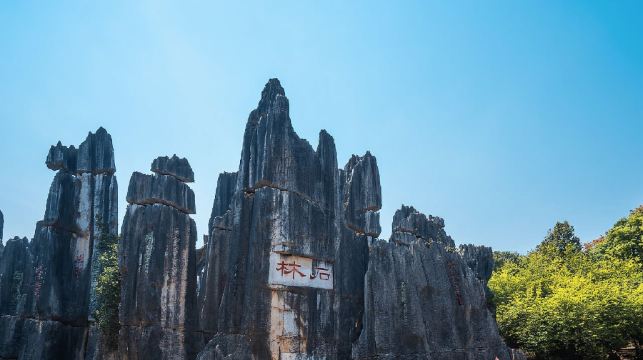 石林風景區一日遊丨純玩優選如帶進購物店退一賠十丨含導遊+午餐