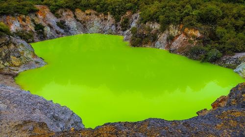 Hobbiton & Rotorua including Waiotapu Day Tour from Auckland