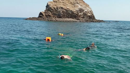 Full Day Musandam Cruise with Lunch and Snorkelling from Dubai Day Tours 7