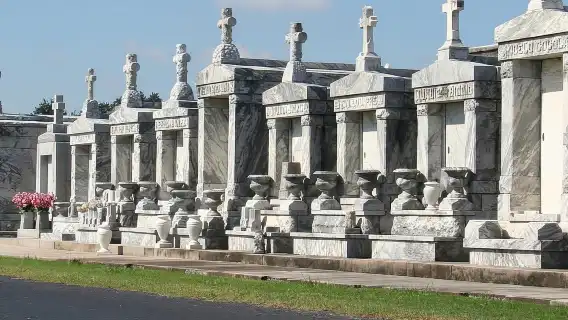 New Orleans City, Cemetery and Swamp Full-Day Tour