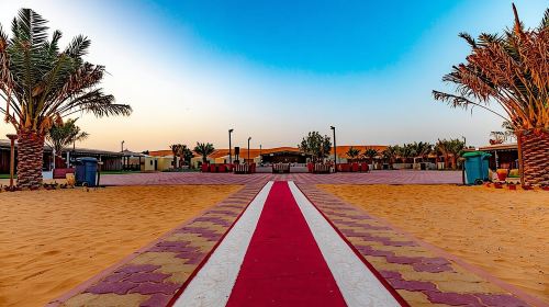 Dubai: Safari With Live BBQ Dinner, Camel Ride ,Live Performances Day Tours 4
