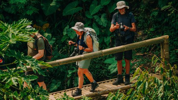 Yogyakarta: Merapi Sunrise Jeep and Trek with Lunch