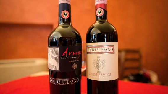 Chianti: wijn- en olijfolieproeverij met kelderrondleiding