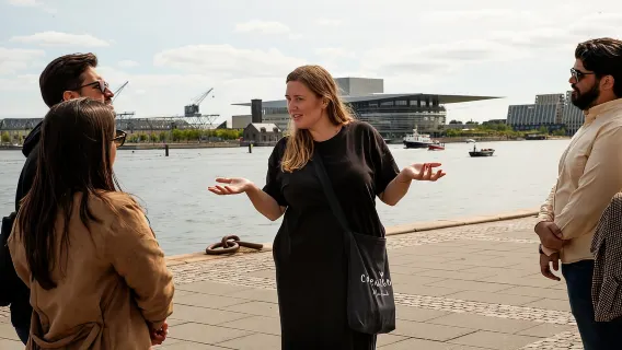 Copenhagen: City Highlights Walking Tour With Local Guide