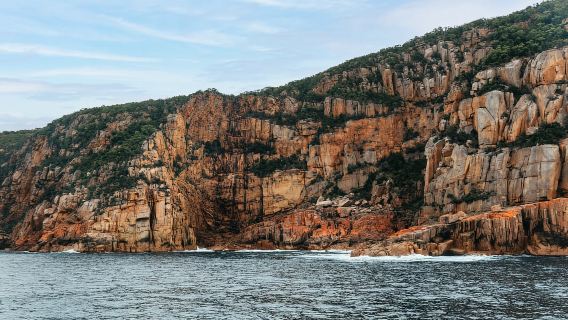 From Coles Bay: Wineglass Bay Cruise with Lunch