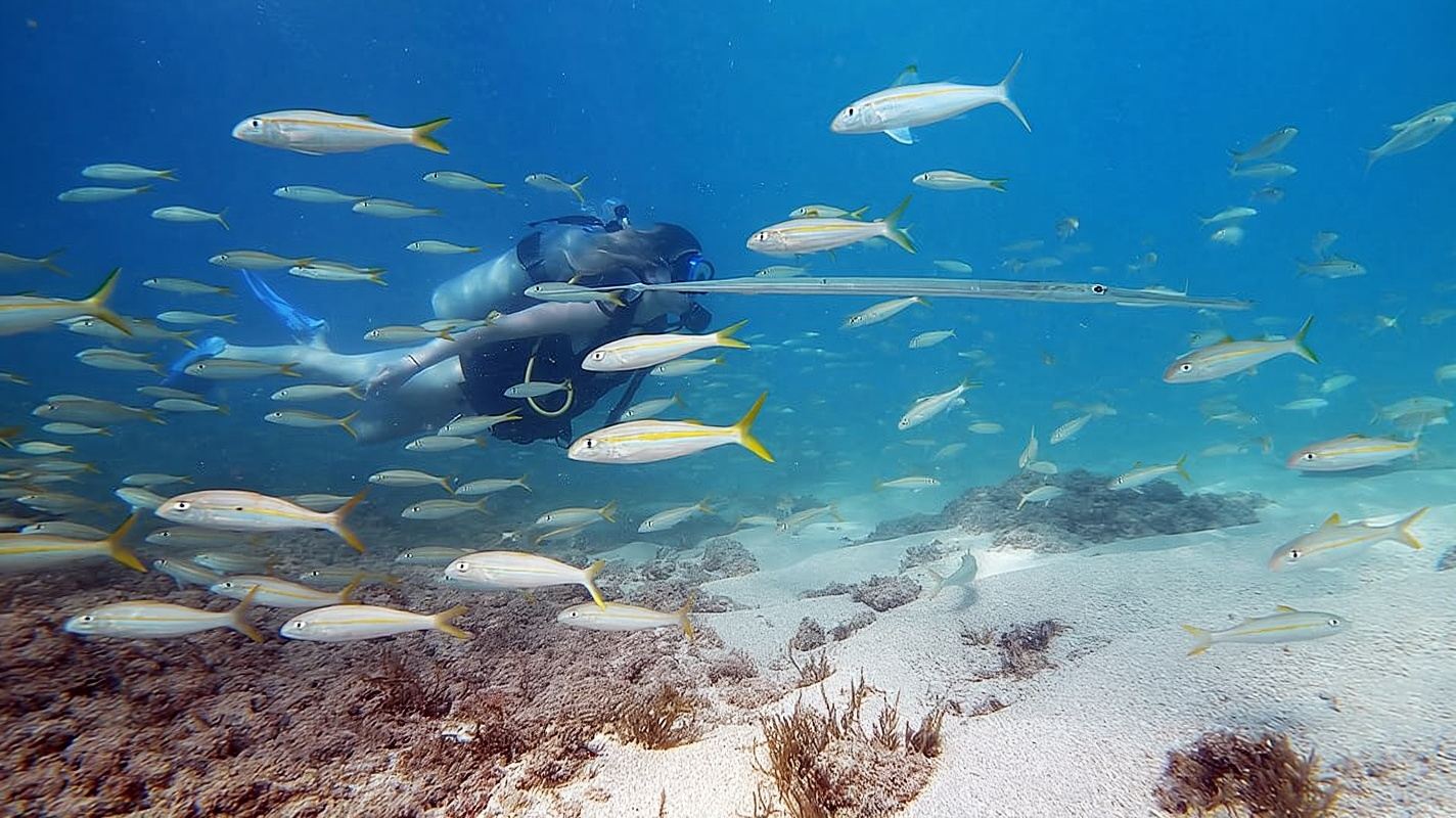 Waikiki: Buceo para principiantes en Honolulu con vídeos